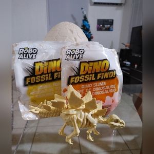 Opened Dino Fossil Find